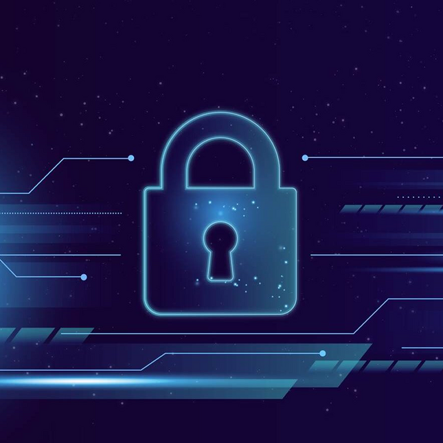 E-Ticaret Sitenizin Güvenlik Açığı Var mı?